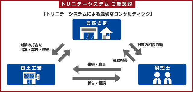 トリニテーシステム 図